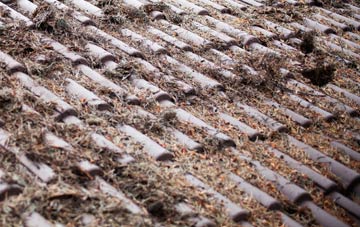 Beetham roof cleaning companies